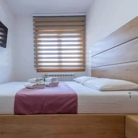 Viola Lux * Zlatibor